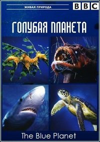 BBC. Голубая планета 1 сезон