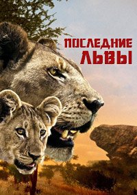 Последние львы (2011)