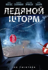 Ледяной шторм (2009)