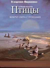Птицы (2001)