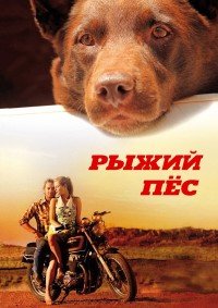 Рыжий пес (2011)