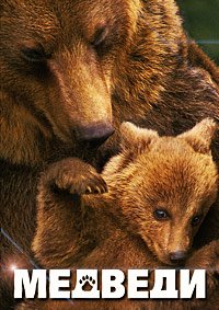 Медведи (2014)