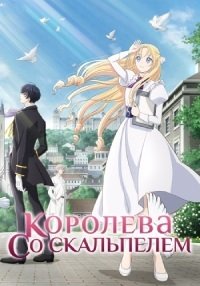 Королева со скальпелем 1 сезон