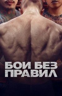 Бои без правил (2017)