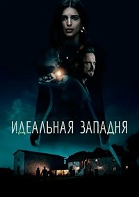 Идеальная западня (2018)