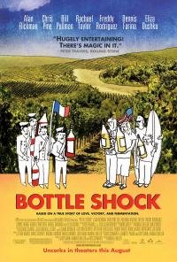 Шоковый эффект (2008)