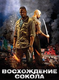 Восхождение Сокола (2014)