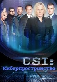 CSI: Киберпространство 1-2 сезон