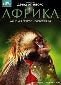 Африка 1 сезон