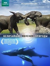 BBC: Величайшие явления природы 1 сезон