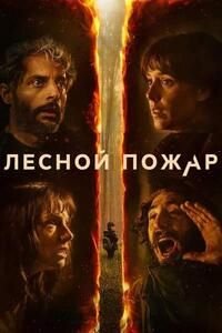 Лесной пожар (2026)